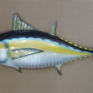 Tuna